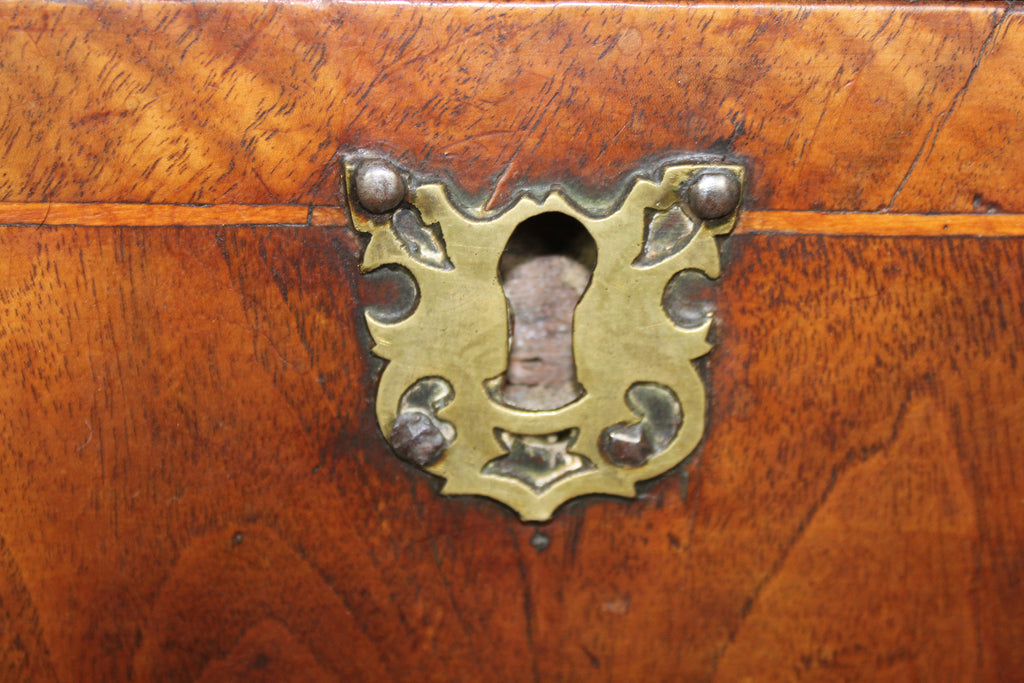 Queen Ann Burr Walnut Chest of Drawers