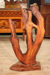 Indonesian sculpture in aquatic root wood